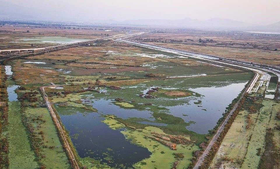 Gobierno Declara Como Área Natural Protegida Al Lago De Texcoco México De Verdad Noticias En 0699