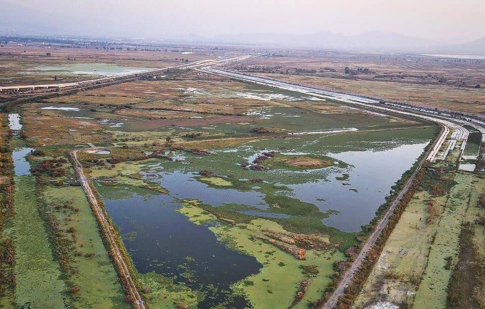 Gobierno Declara Como Área Natural Protegida Al Lago De Texcoco México De Verdad Noticias En 4724