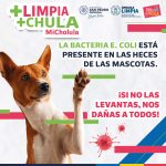 Por-un-Futuro-Mas-Limpio-Compromiso-con-CholulaLimpia